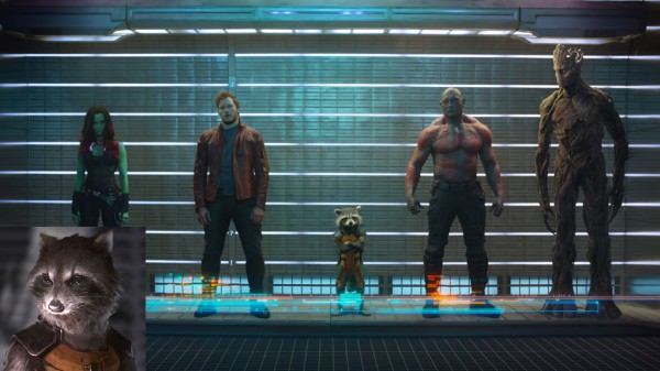 Guardians of the Galaxy : Rocket Raccoon Guardians of the Galaxy : Rocket Raccoon