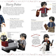 lego harry potter magical treasury visual guide wizarding world 2