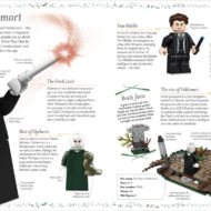 lego harry potter magical treasury visual guide wizarding world 6