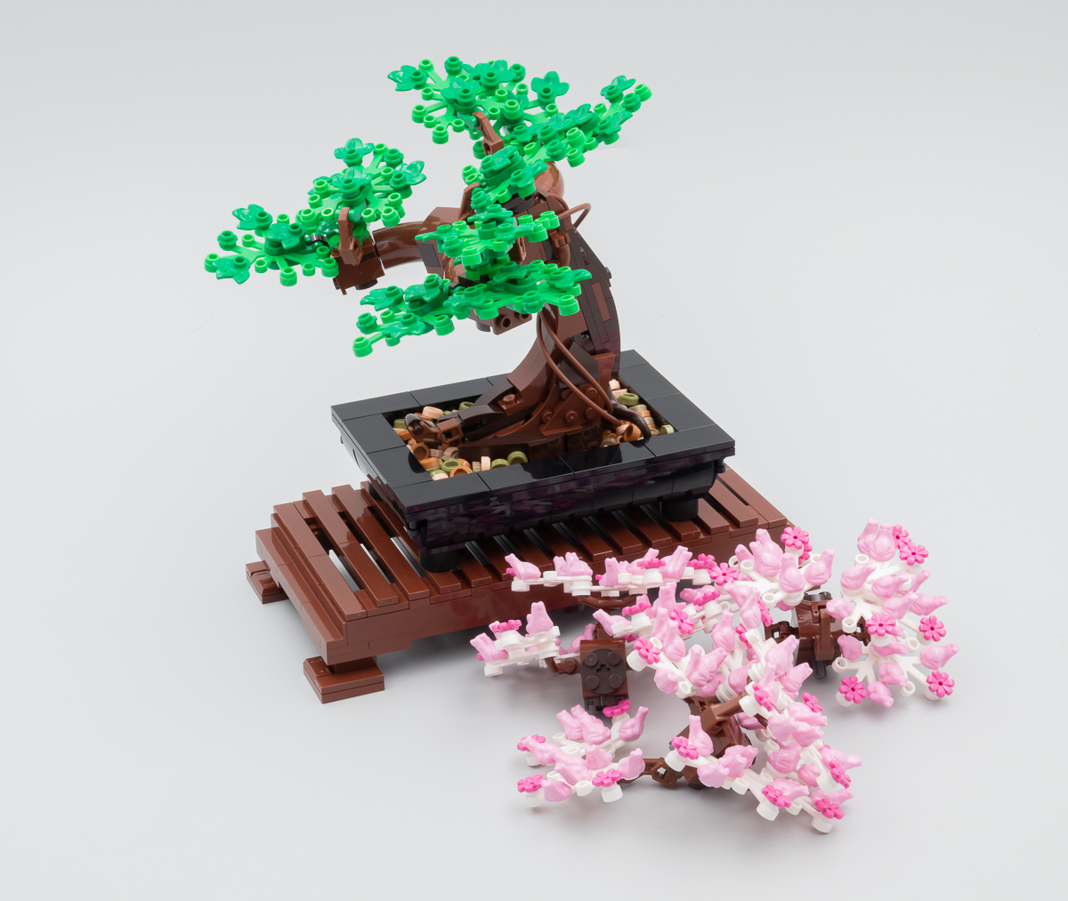 ▻ Testato rapidamente: LEGO Botanical Collection 10281 Albero dei