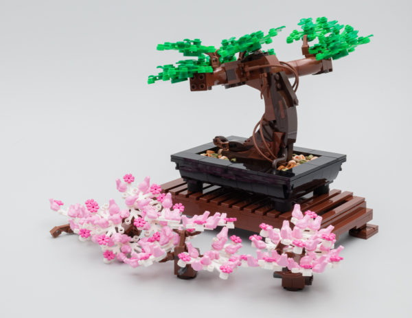 Casgliad Botanegol LEGO 10281 Coeden Bonsai