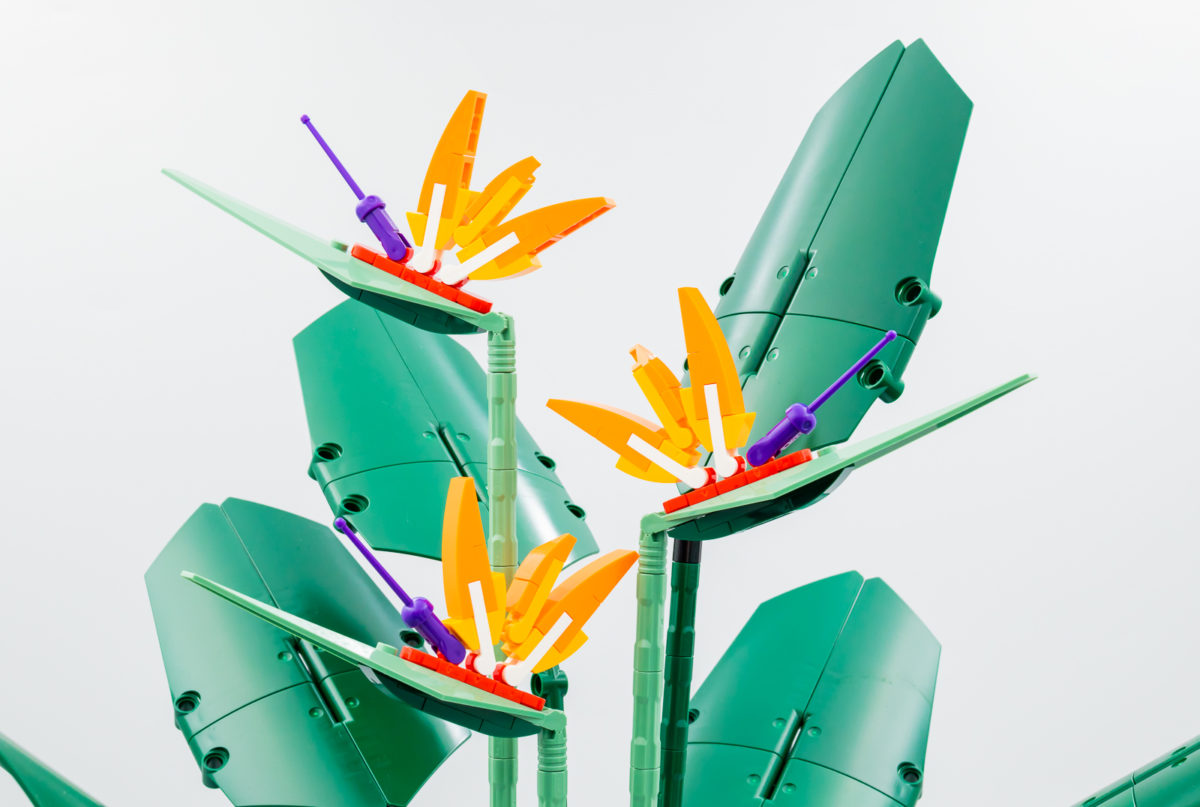 Très vite testé LEGO Botanical Collection 10289 Bird of Paradise HOTH BRICKS