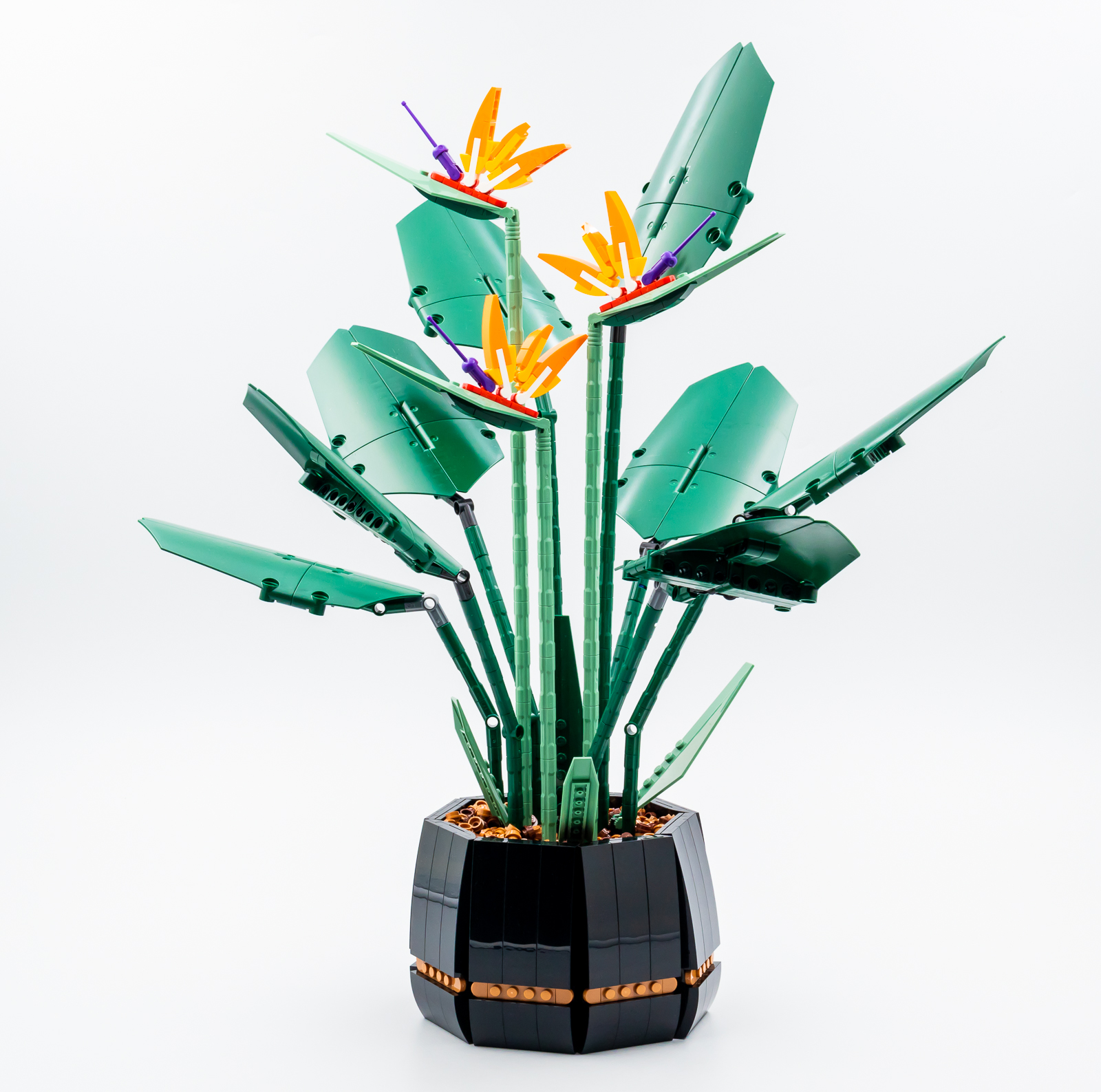 ▻ Review: LEGO Botanical Collection 10289 Bird of Paradise - HOTH BRICKS