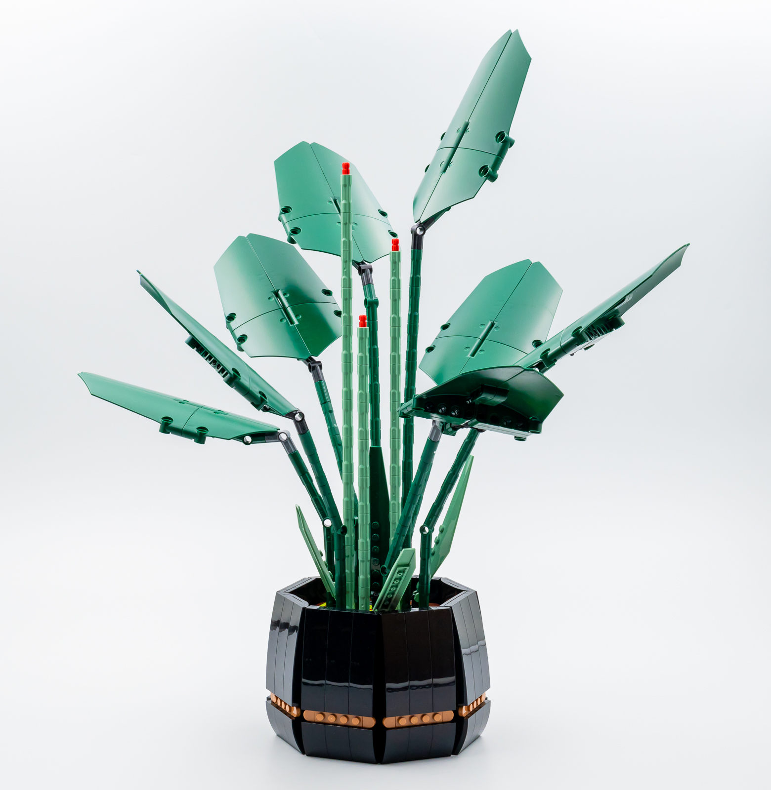 ▻ Review: LEGO Botanical Collection 10289 Bird of Paradise - HOTH