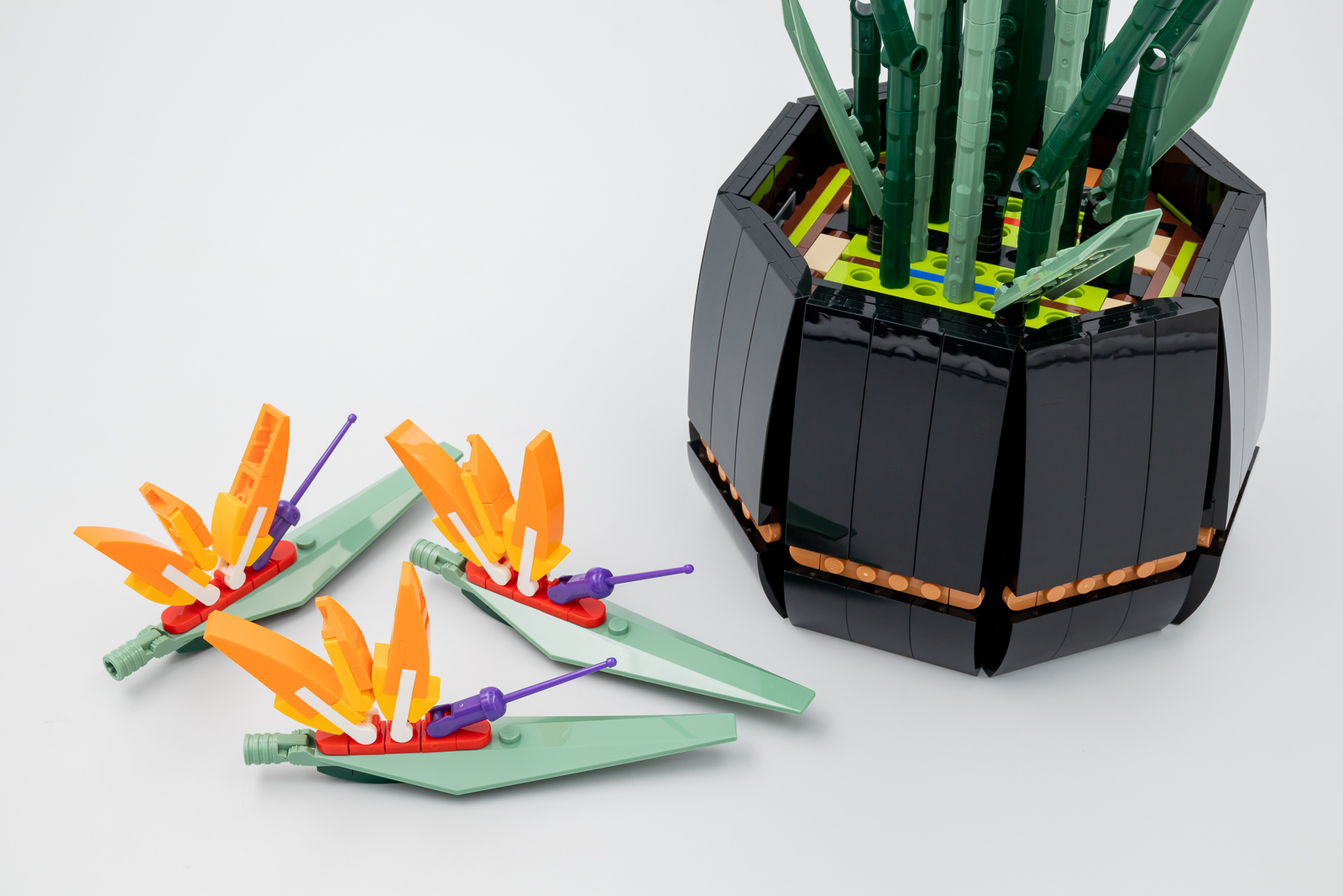 Bird of Paradise (LEGO 18+ Botanical Collection - 10289) - Review -  Brickonaute