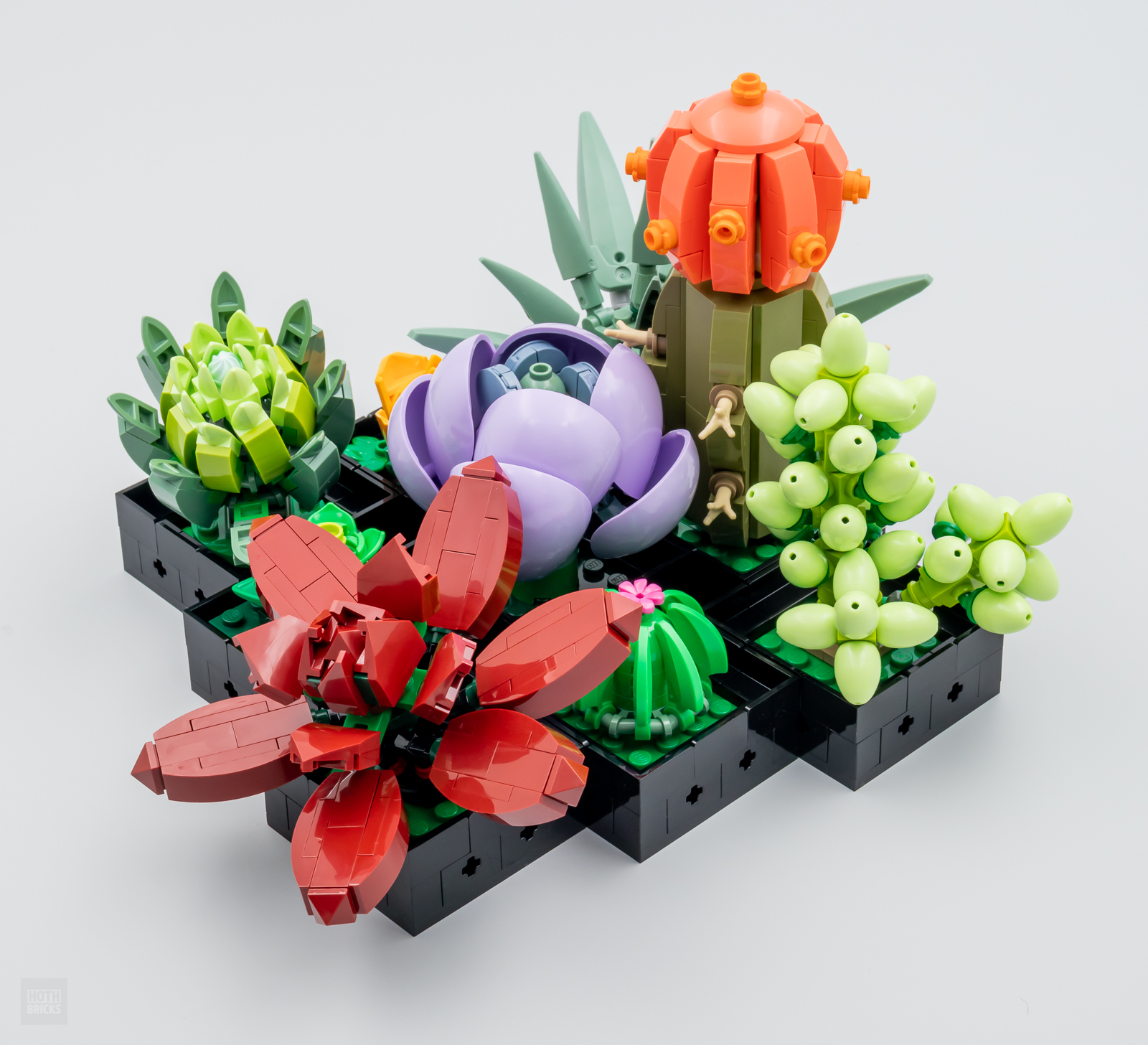 ▻ Testato molto rapidamente: LEGO Botanical Collection 10309 Succulents -  HOTH BRICKS