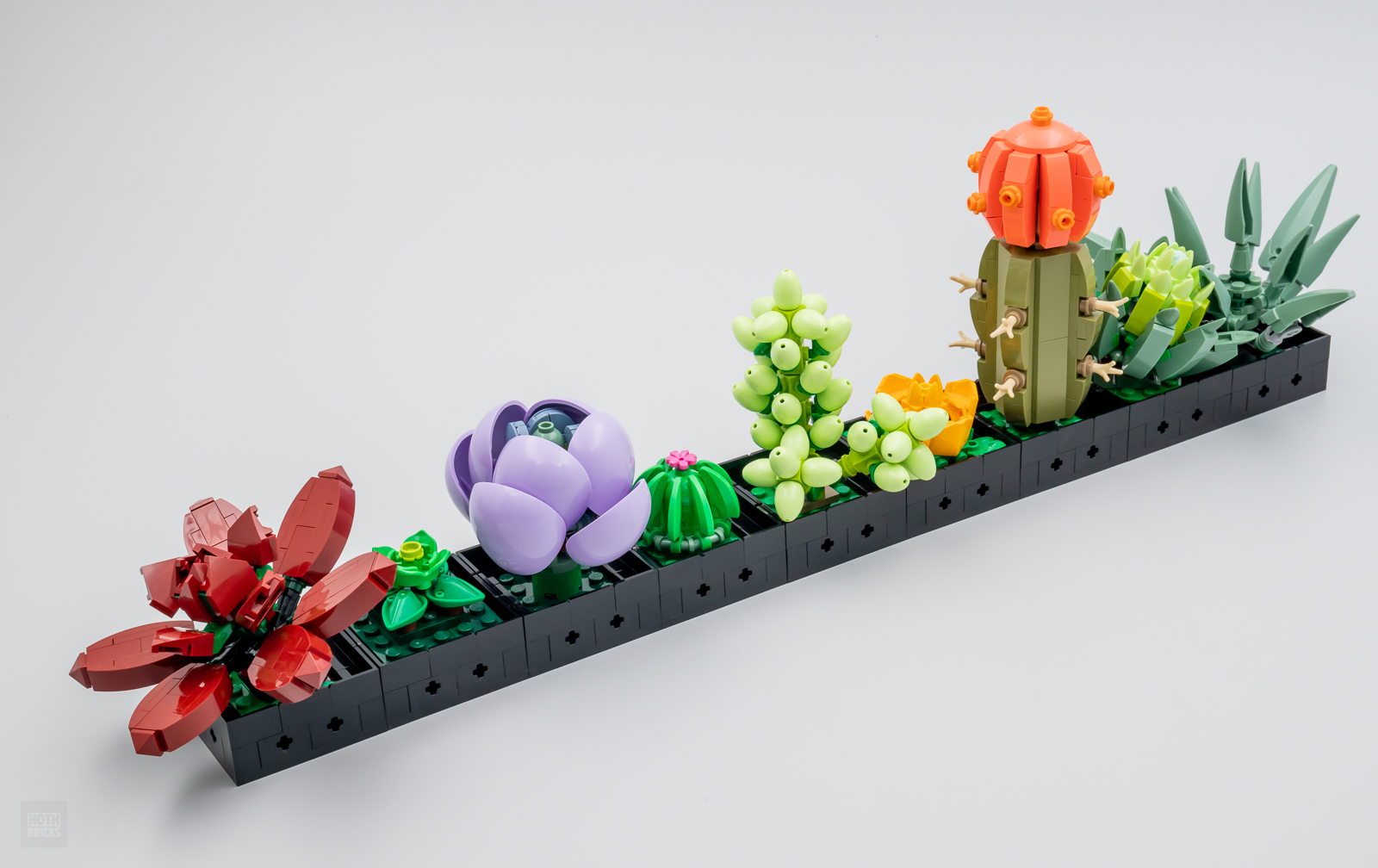 ▻ Très vite testé : LEGO Botanical Collection 10309 Succulents - HOTH BRICKS