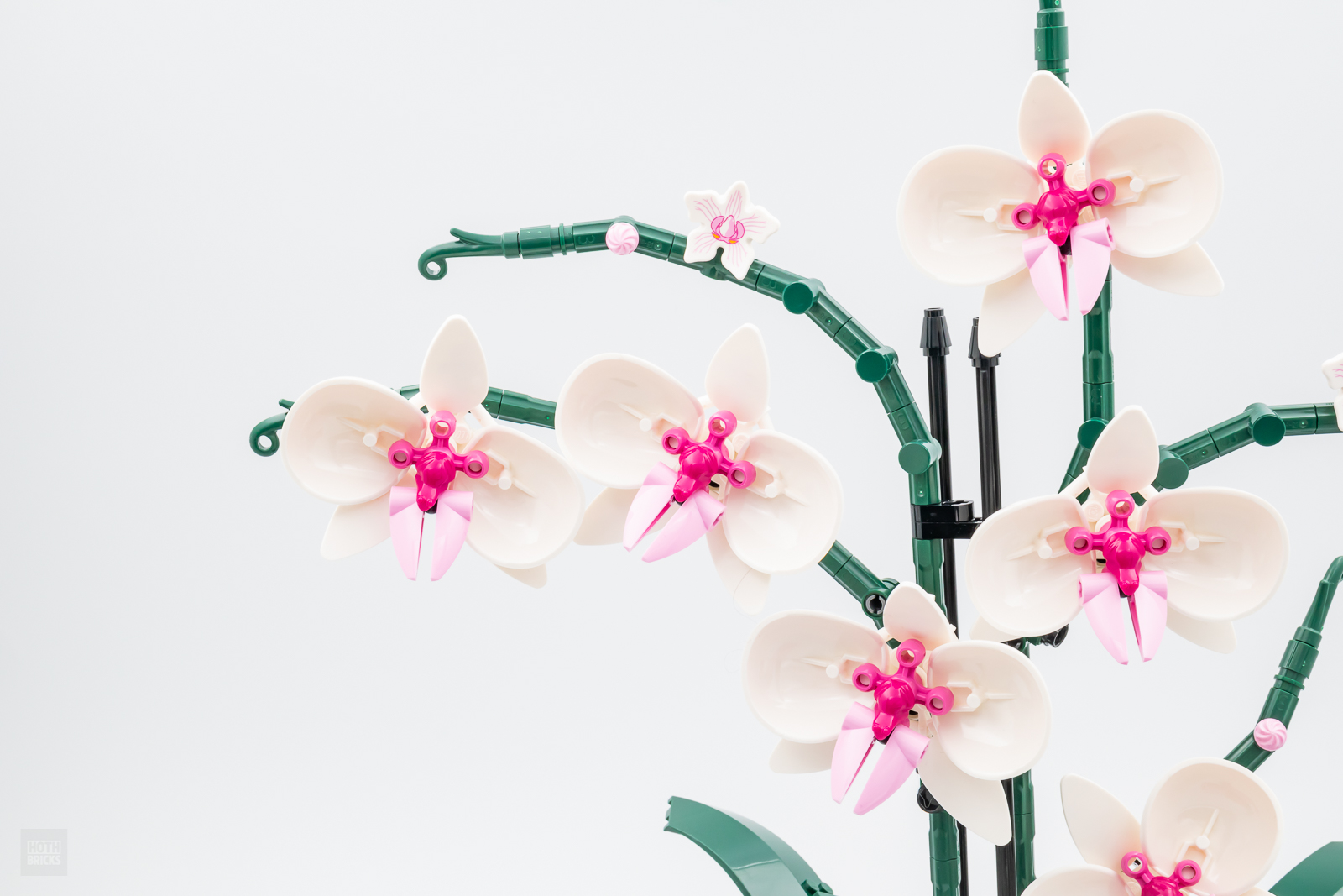 Review LEGO Botanical Collection 10311 Orchid - HelloBricks