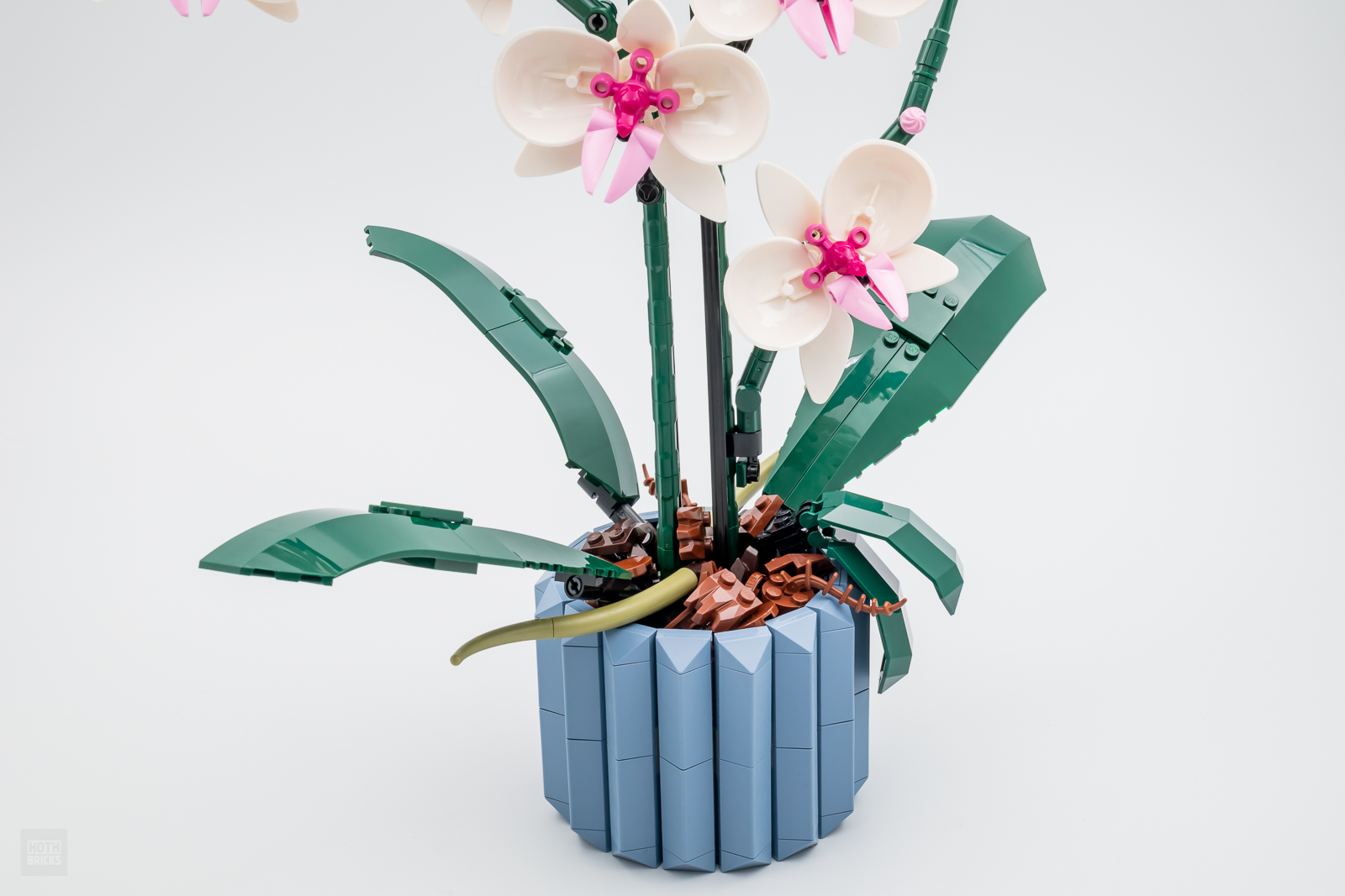 ▻ Très vite testé : LEGO Botanical Collection 10311 Orchid - HOTH