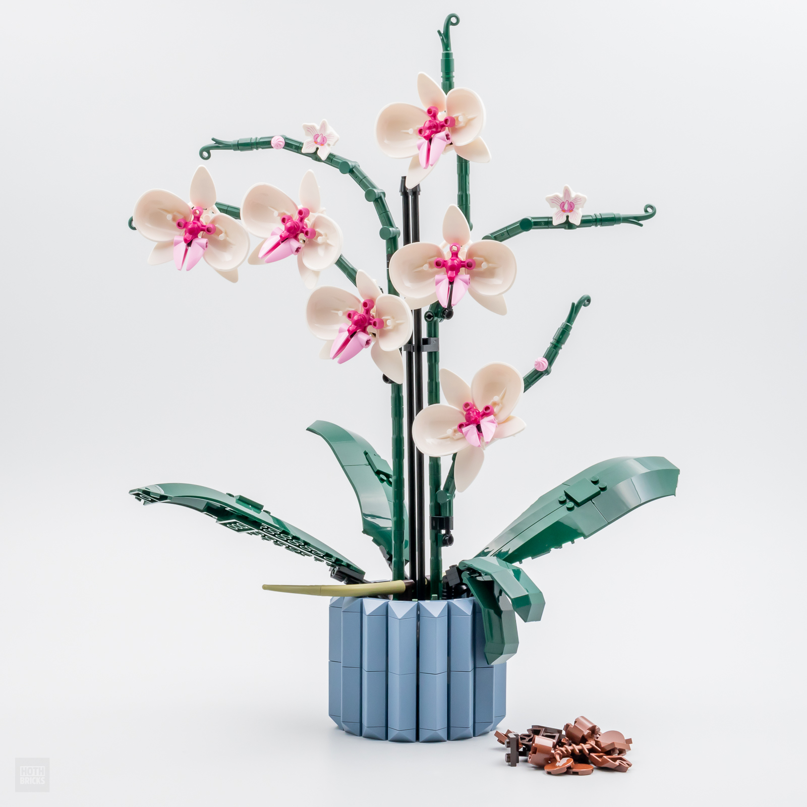 Très vite testé : LEGO Botanical Collection 10311 Orchid - HOTH BRICKS