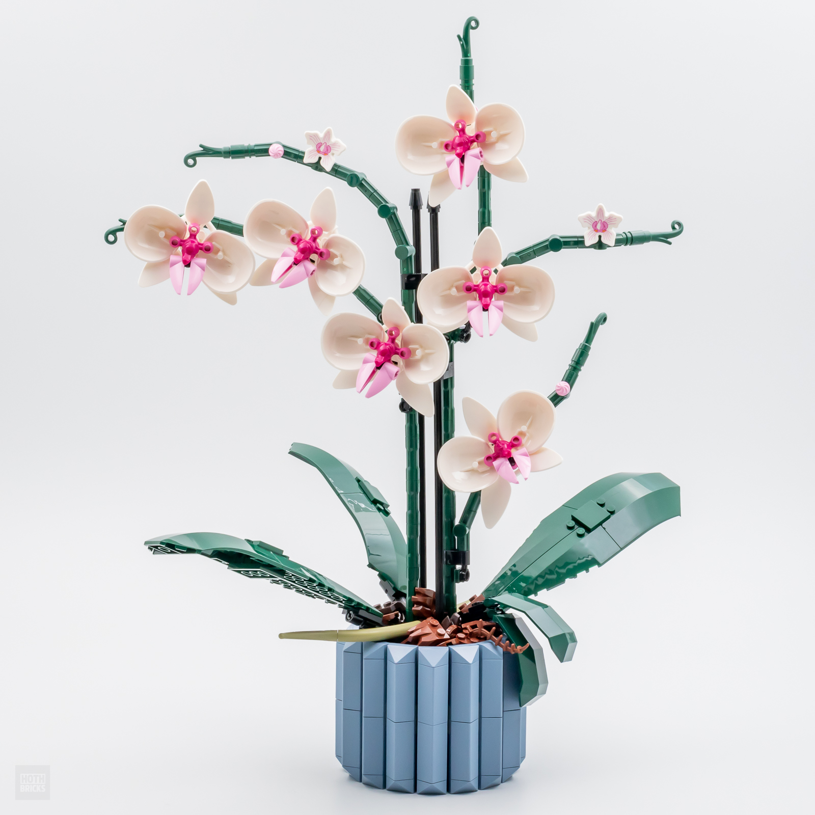 Testato molto rapidamente: LEGO Botanical Collection 10311 Orchid ...