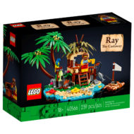 40566 idei Lego Ray the Castaway 1