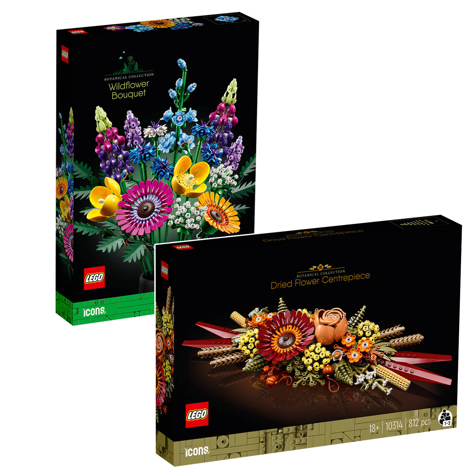 ▻ Nouveautés LEGO ICONS Botanical Collection de février 2023 : les visuels  officiels - HOTH BRICKS