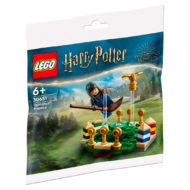 30651 Lego Harry Potter praktikë kuidçi, polibag 2023 1