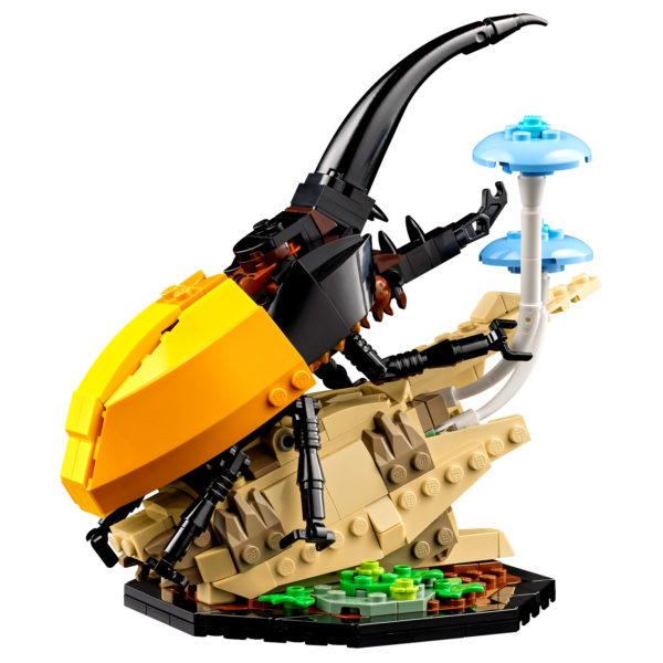21342 lego ideas the insect collection 11