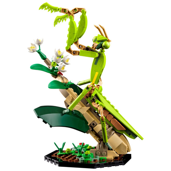 21342 lego ideas the insect collection 12