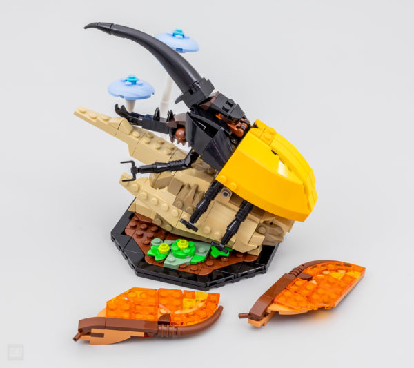 lego ideas 21342 insect collection 11