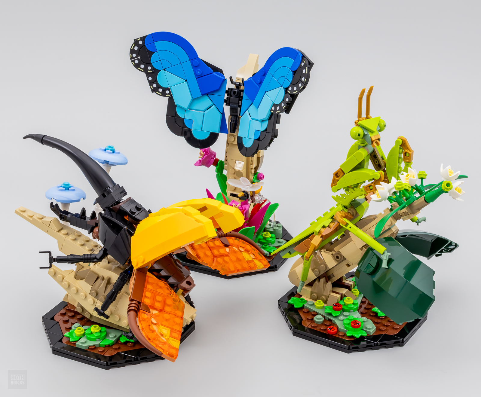 ▻ Très vite testé : LEGO Ideas 21342 The Insect Collection - HOTH BRICKS
