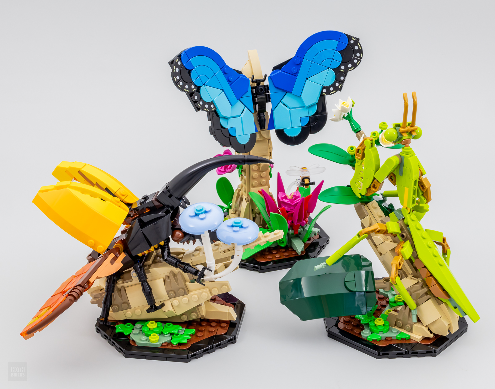 LEGO si dà agli insetti! Annunciato il nuovo set con scarabeo e mantide  religiosa