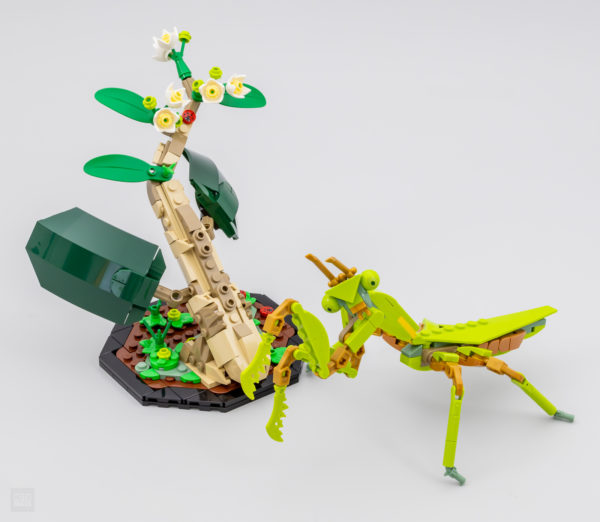 lego ideas 21342 insect collection 19