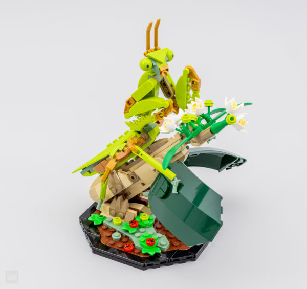 lego ideas 21342 insect collection 20
