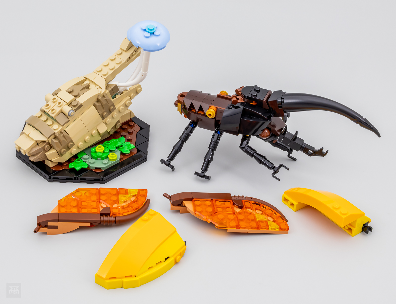 Insectes - LEGO® Ideas - 21342