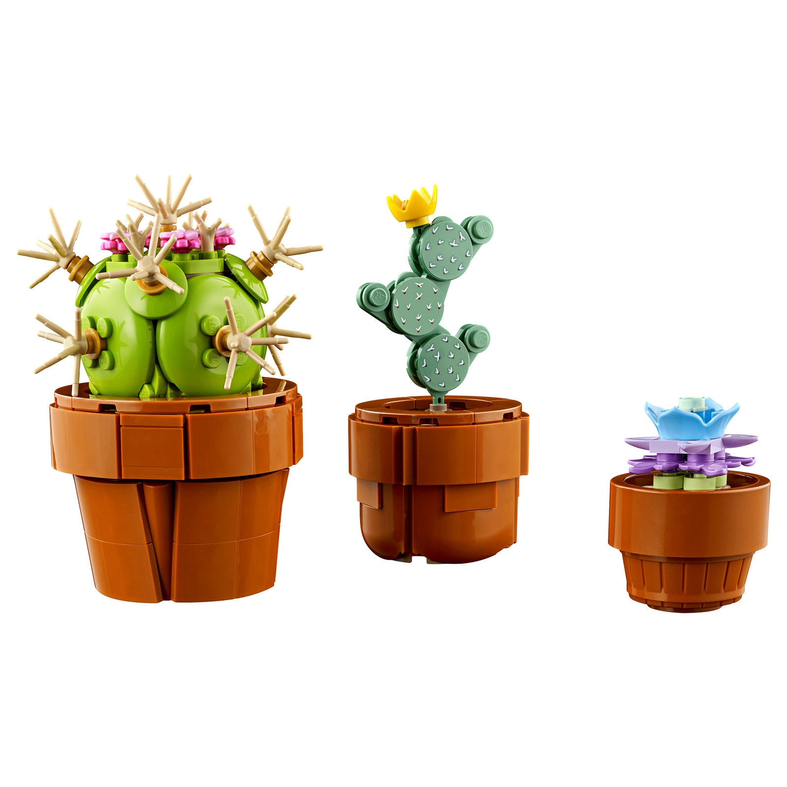 ▻ LEGO ICONS Botanical Collection 10329 Tiny Plants : le set est en ligne  chez Cdiscount et sur le Shop - HOTH BRICKS