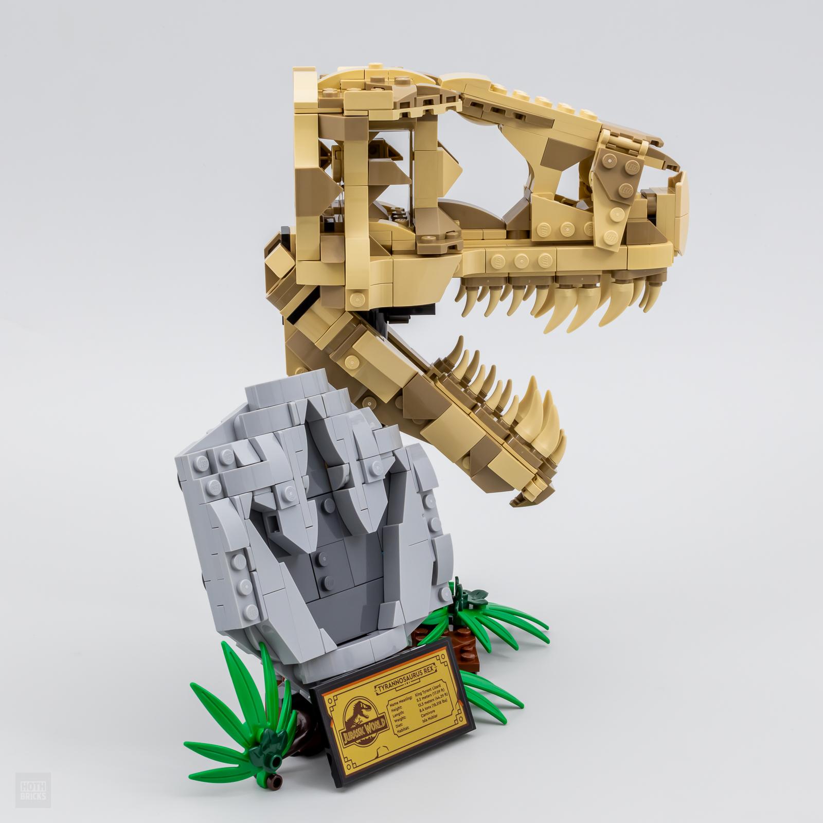LEGO 76964 Jurassic World Les Fossiles de Dinosaures : Le Crâne du T.