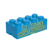 LEGO lug,LEGO Rlug,LEGO fan club,association LEGO