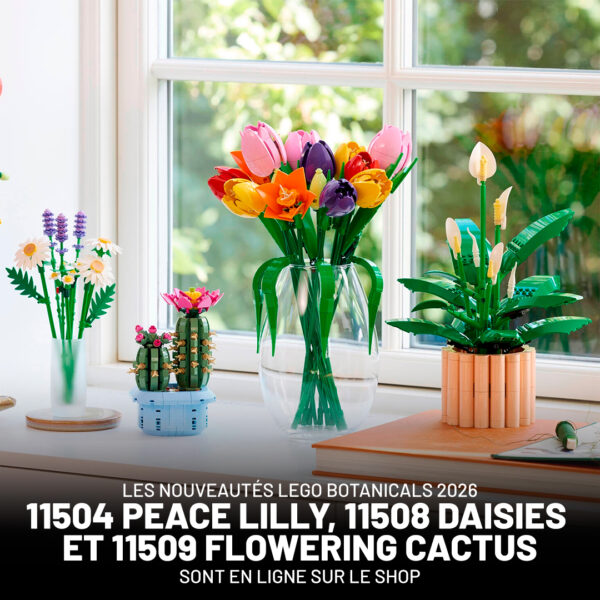 Nouveautés LEGO BOTANICALS 2026 : 11504 Peace Lilly, 11508 Daisies et 11509 Flowering Cactus